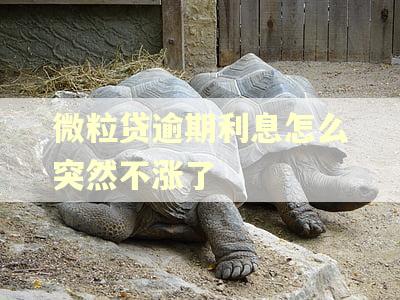 微粒贷逾期利息怎么突然不涨了