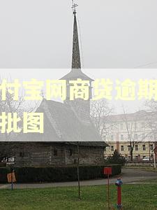 支付宝网商贷逾期怎么批图