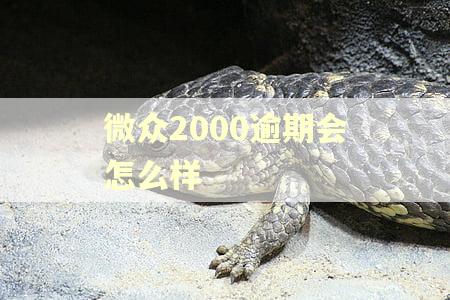 微众2000逾期会怎么样