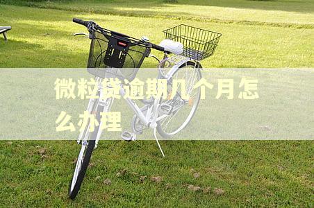微粒贷逾期几个月怎么办理