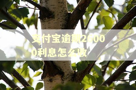 支付宝逾期26000利息怎么收