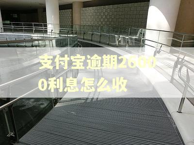 支付宝逾期26000利息怎么收
