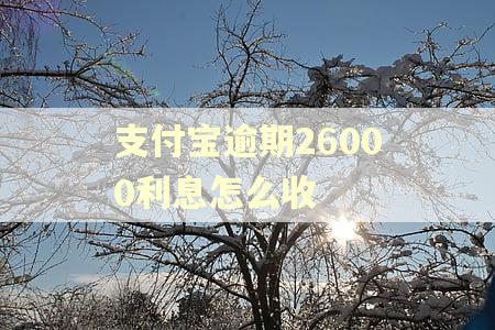 支付宝逾期26000利息怎么收