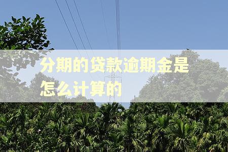 分期的贷款逾期金是怎么计算的