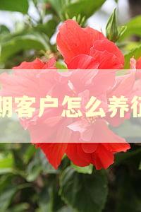 逾期客户怎么养征信