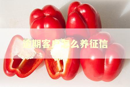 逾期客户怎么养征信