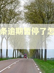 白条逾期暂停了怎么办