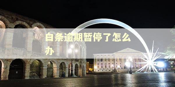白条逾期暂停了怎么办