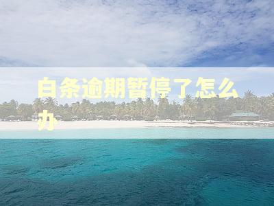 白条逾期暂停了怎么办