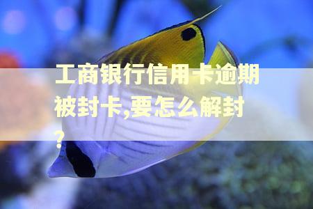 工商银行信用卡逾期被封卡,要怎么解封？