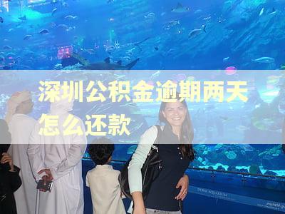 深圳公积金逾期两天怎么还款