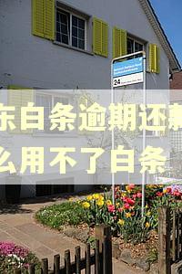 京东白条逾期还款了怎么用不了白条