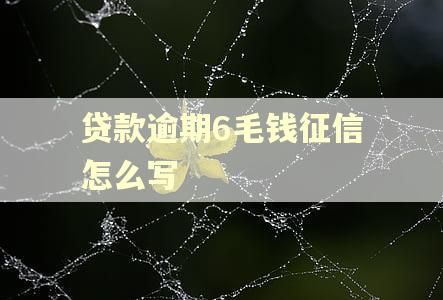 贷款逾期6毛钱征信怎么写