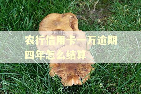农行信用卡一万逾期四年怎么结算 农行信用卡一万逾期四年怎么结算