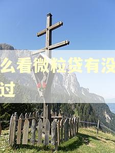 怎么看微粒贷有没逾期过