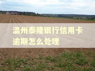 温州泰隆银行信用卡逾期怎么处理