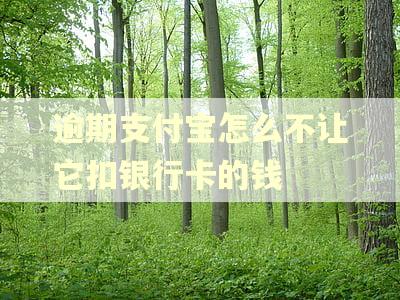 逾期支付宝怎么不让它扣银行卡的钱