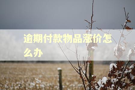 逾期付款物品涨价怎么办