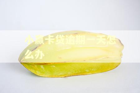 小赢卡贷逾期一天怎么办