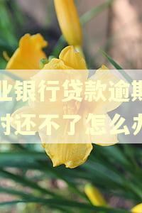农业银行贷款逾期了暂时还不了怎么办