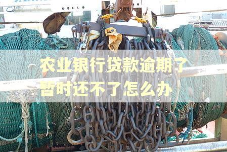 农业银行贷款逾期了暂时还不了怎么办