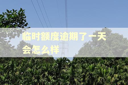 临时额度逾期了一天会怎么样