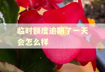 临时额度逾期了一天会怎么样