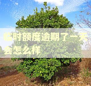 临时额度逾期了一天会怎么样 临时额度逾期了一天会怎么样