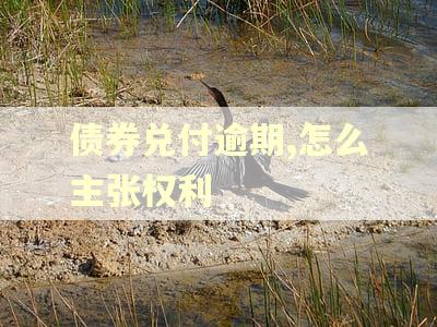 债券兑付逾期,怎么主张权利