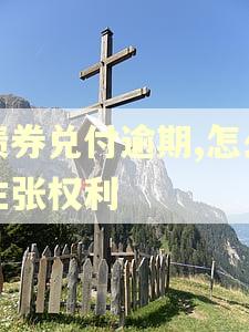 债券兑付逾期,怎么主张权利