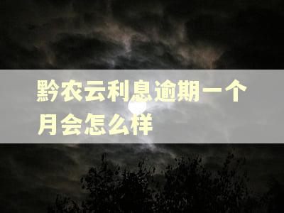 黔农云利息逾期一个月会怎么样