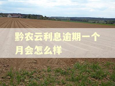 黔农云利息逾期一个月会怎么样