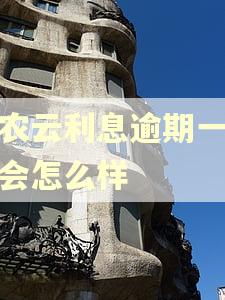 黔农云利息逾期一个月会怎么样