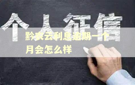 黔农云利息逾期一个月会怎么样