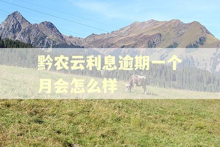 黔农云利息逾期一个月会怎么样
