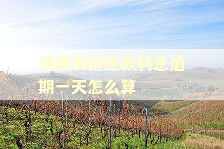 河南农信还款利息逾期一天怎么算