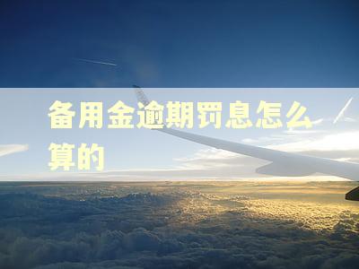 备用金逾期罚息怎么算的