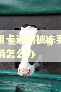 信用卡逾期被冻要求注销怎么办