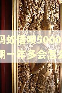 欠蚂蚁借呗5000逾期一年多会怎么样