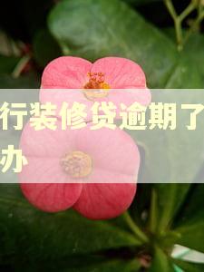 建行装修贷逾期了怎么办