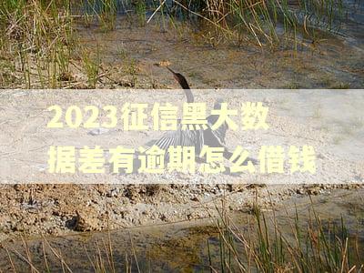 2023征信黑大数据差有逾期怎么借钱