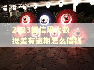 2023征信黑大数据差有逾期怎么借钱