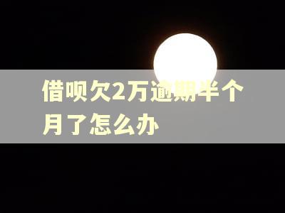 借呗欠2万逾期半个月了怎么办