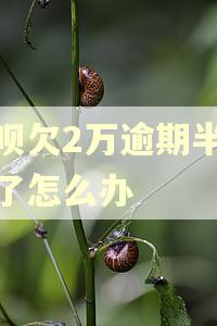 借呗欠2万逾期半个月了怎么办