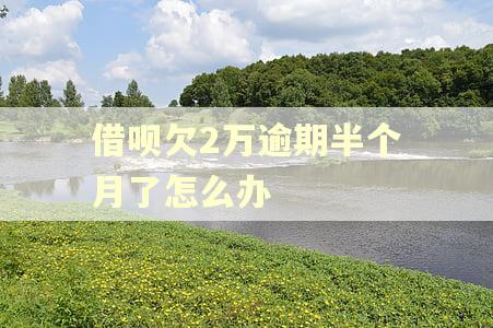 借呗欠2万逾期半个月了怎么办 借呗欠2万逾期半个月了怎么办
