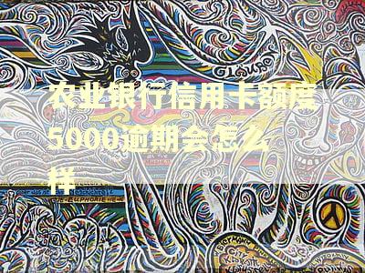 农业银行信用卡额度5000逾期会怎么样