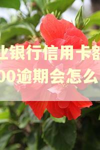 农业银行信用卡额度5000逾期会怎么样