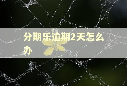 分期乐逾期2天怎么办