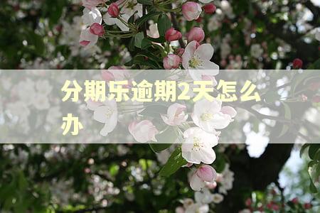 分期乐逾期2天怎么办