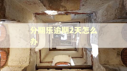 分期乐逾期2天怎么办 分期乐逾期2天怎么办